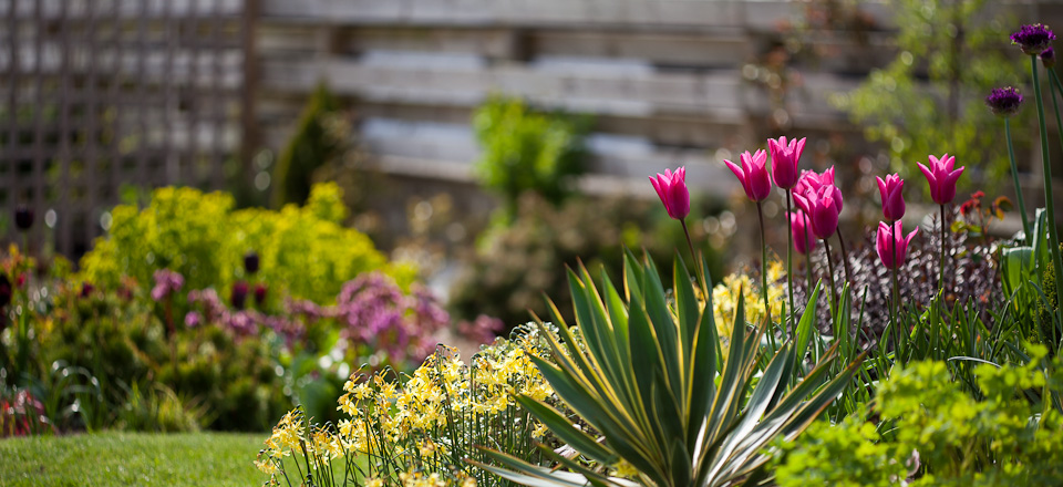 A Spring Planting Loddon 3