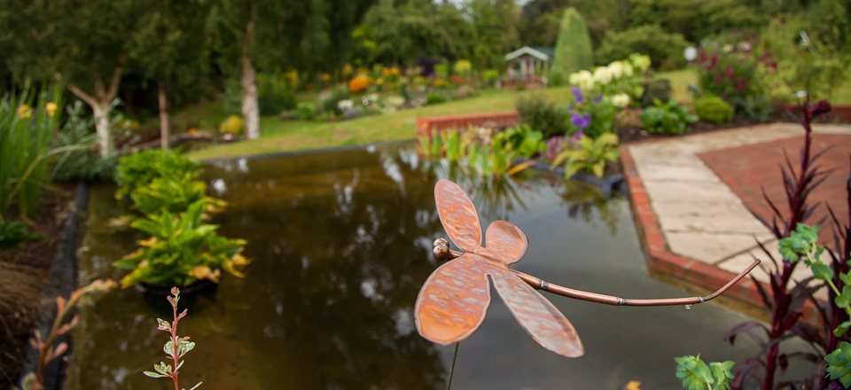 F Infinity Pond Norfolk