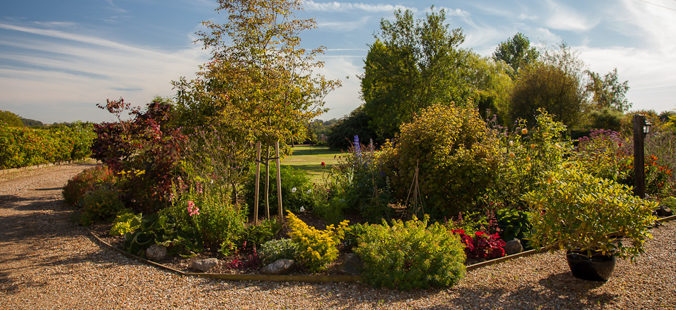 R Stowmarket Planting